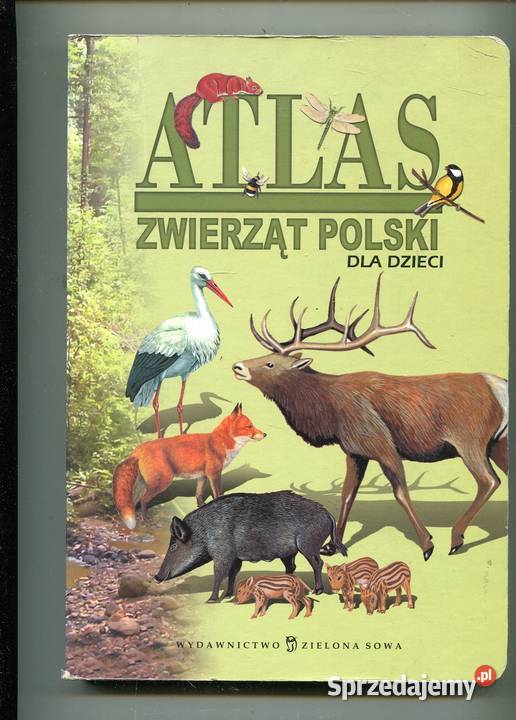 Atlas zwierząt polski dzieci Zielona Sowa