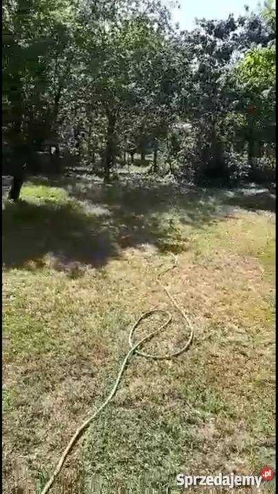 Sprzedam działkę rekreacyjną ROD Aster Łódź łódzkie