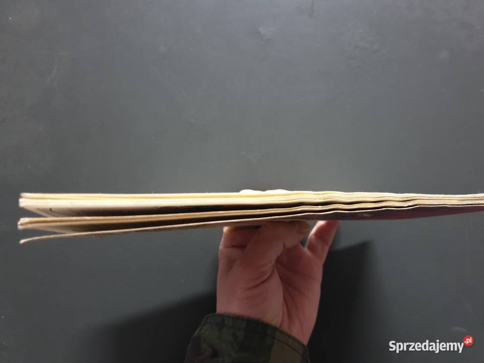 Kazimierz Wielki Casimir le Grand komiks pomorskie Gdynia