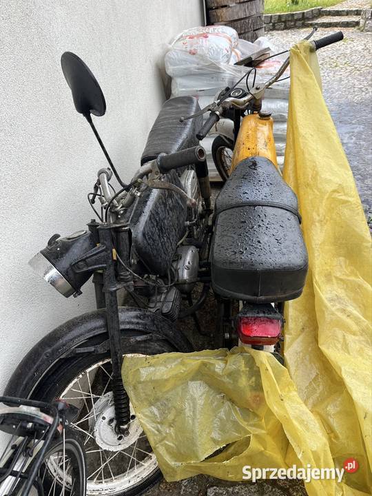 Jawa mustang Wąsosz