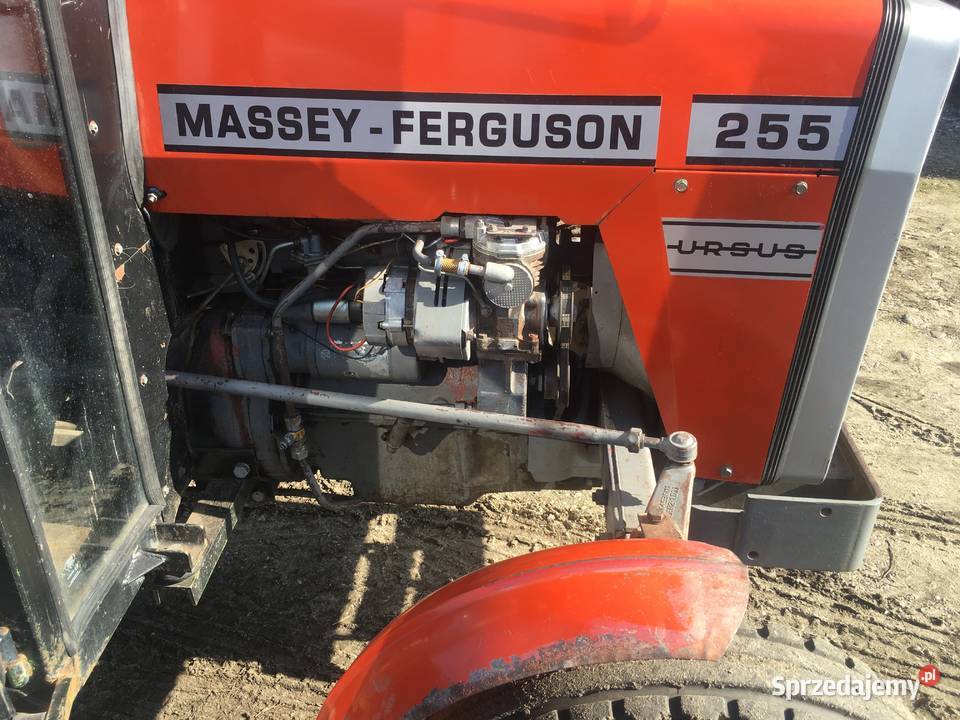 MF 255 Ferguson 1989 Węgrów sprzedam