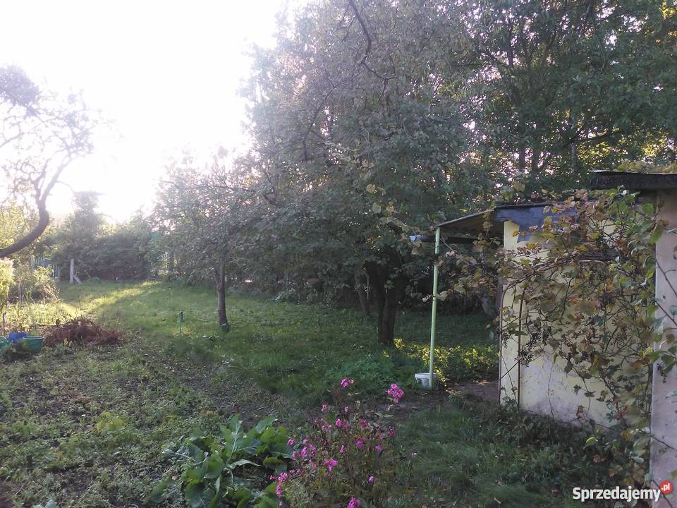 Działka ROD Zamku w Malborku Grunty i działki Malbork
