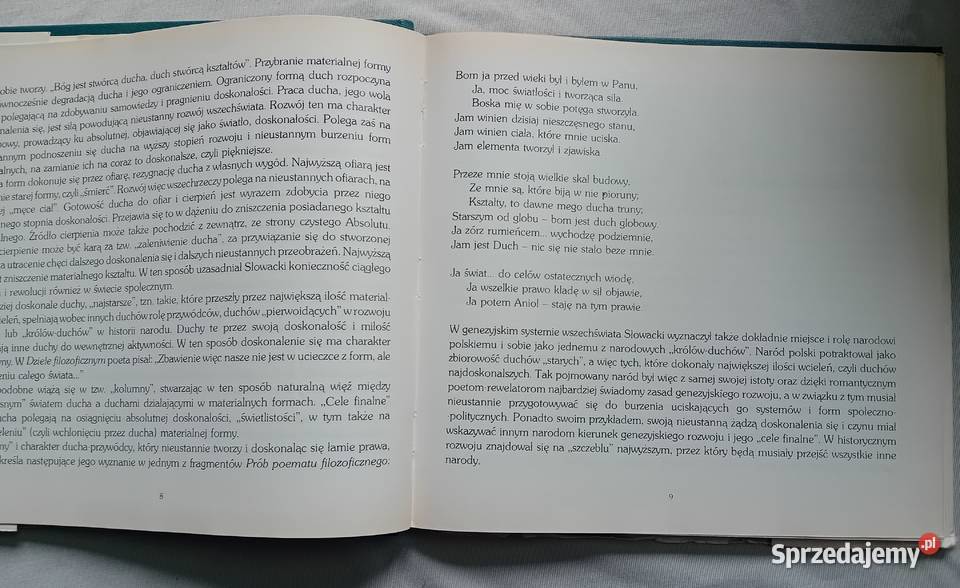 Juliusza Słowackiego rym błyskawicowy WSiP 1980 twarda z obwolutą