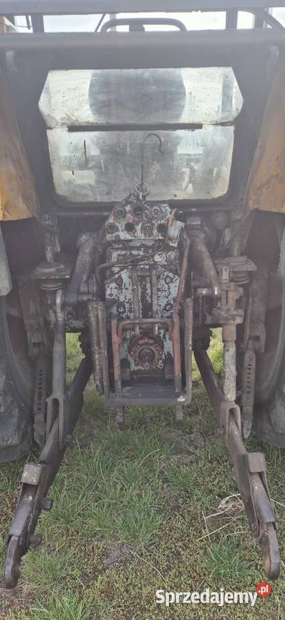 Ursus 1224
