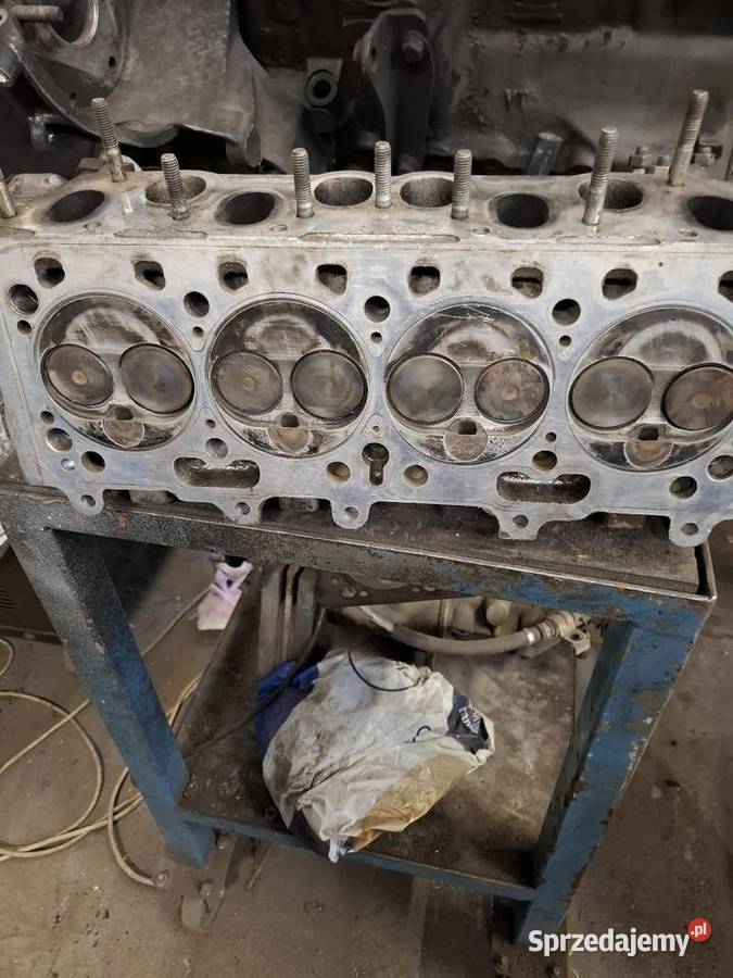 Silnik słupek głowica Fiat ducato 19td kamper Zielona Góra