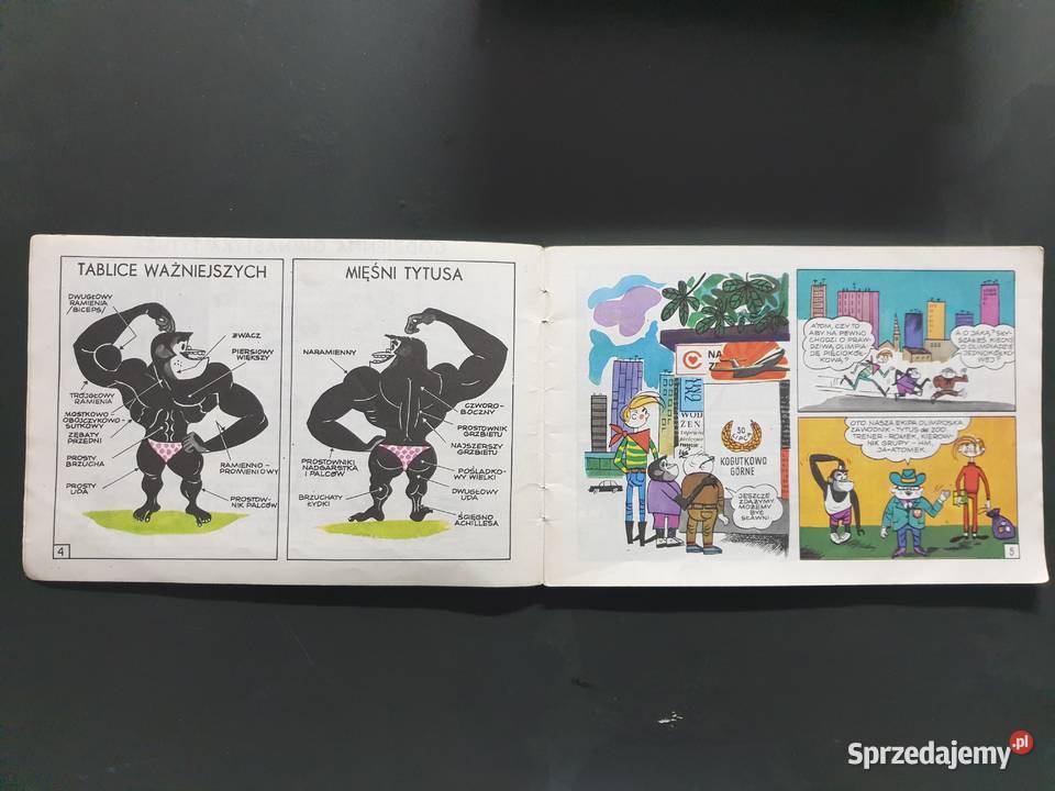 Tytus Romek i ATomek księga VI wyd3 1979