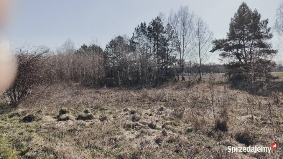 Sprzedam działki w Pruścach jeziorem razem Pruśce sprzedam
