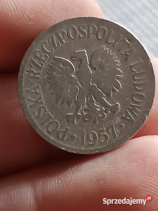 Sprzedam monete 50 groszy 1957 llll Chełm
