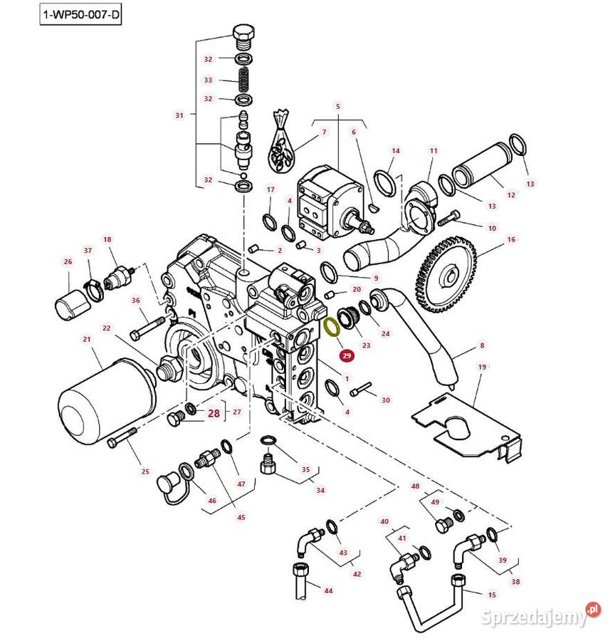Uszczelniacz smoka pompy oleju Massey Ferguson Białystok