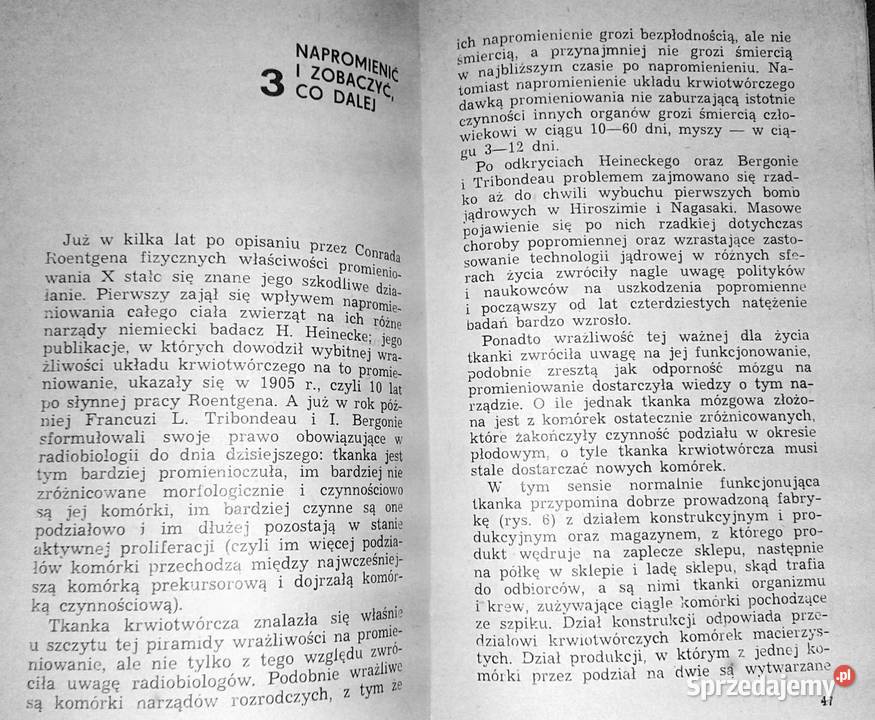 Zagadka tworzenia krwi Wiesław Wiktor Chełm sprzedam