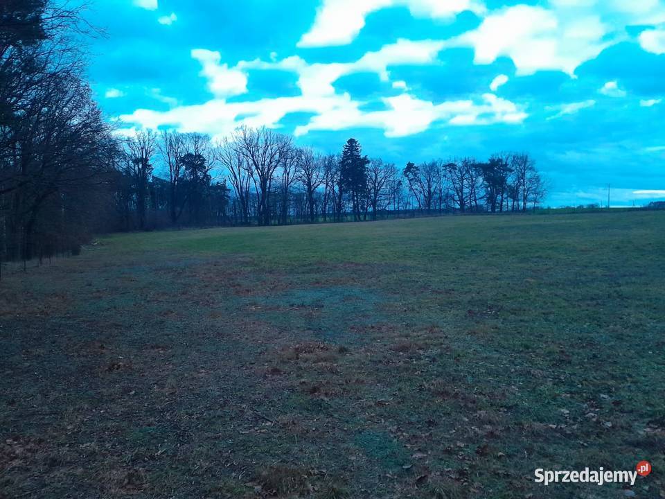Sprzedam Działki CHYCINA nowe osiedle 12 działek 100zł/m2 sprzedam