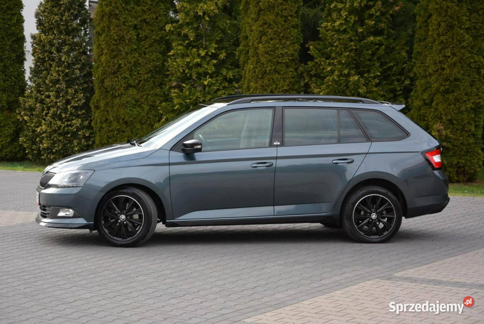 koda Fabia Monte Carlo DSG Ledy Panorama mazowieckie