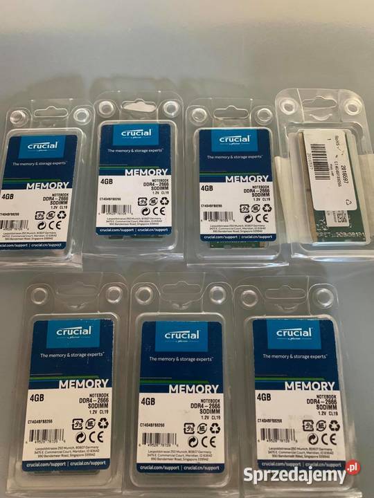 Crucial DDR4 4GB 2666 CL19 Warszawa