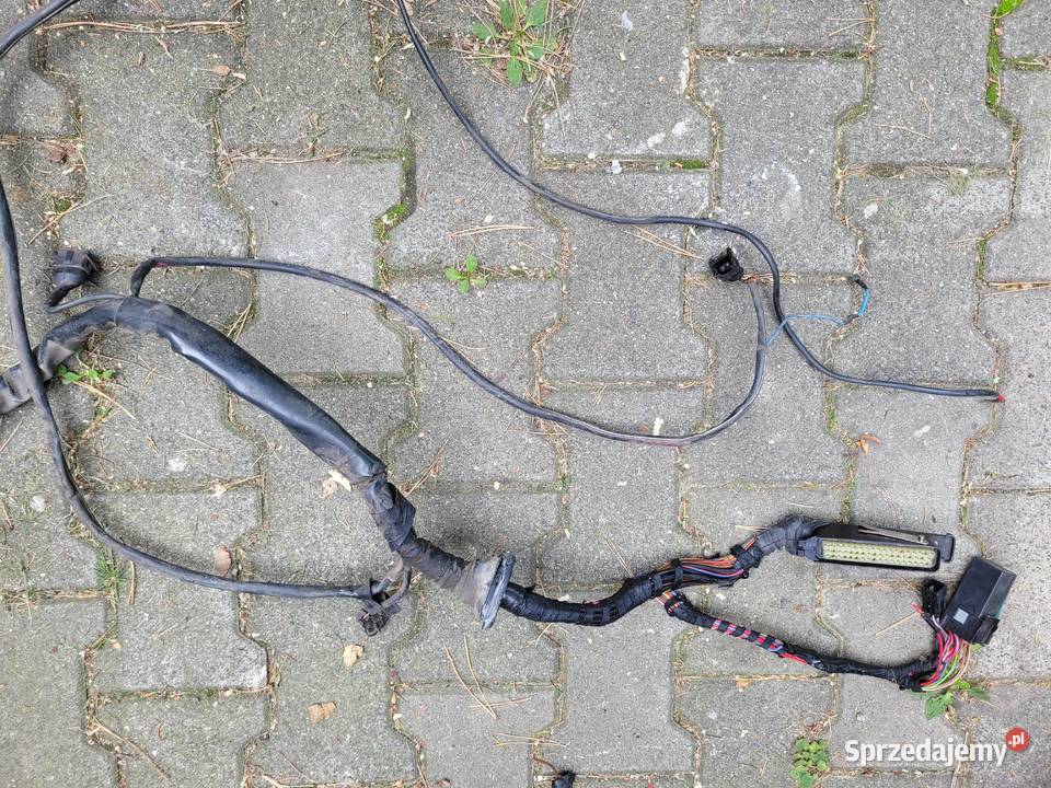 komputer wiązka c20xe motronic 28 calibra vectra Jastrzębie-Zdrój
