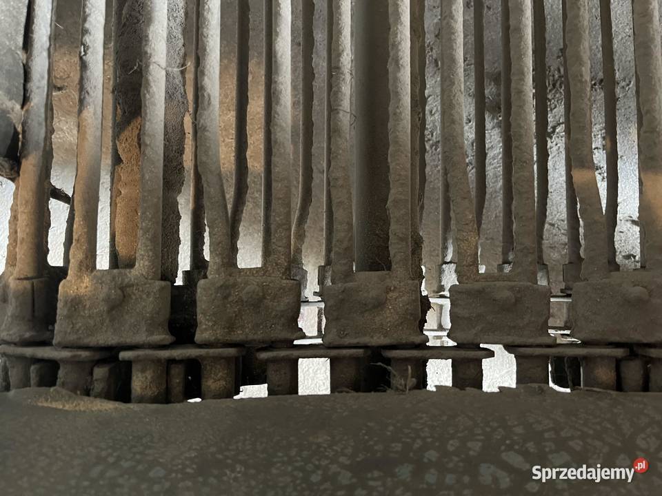 Kopaczka do ziemniaków elewatorowa 2rzędowa