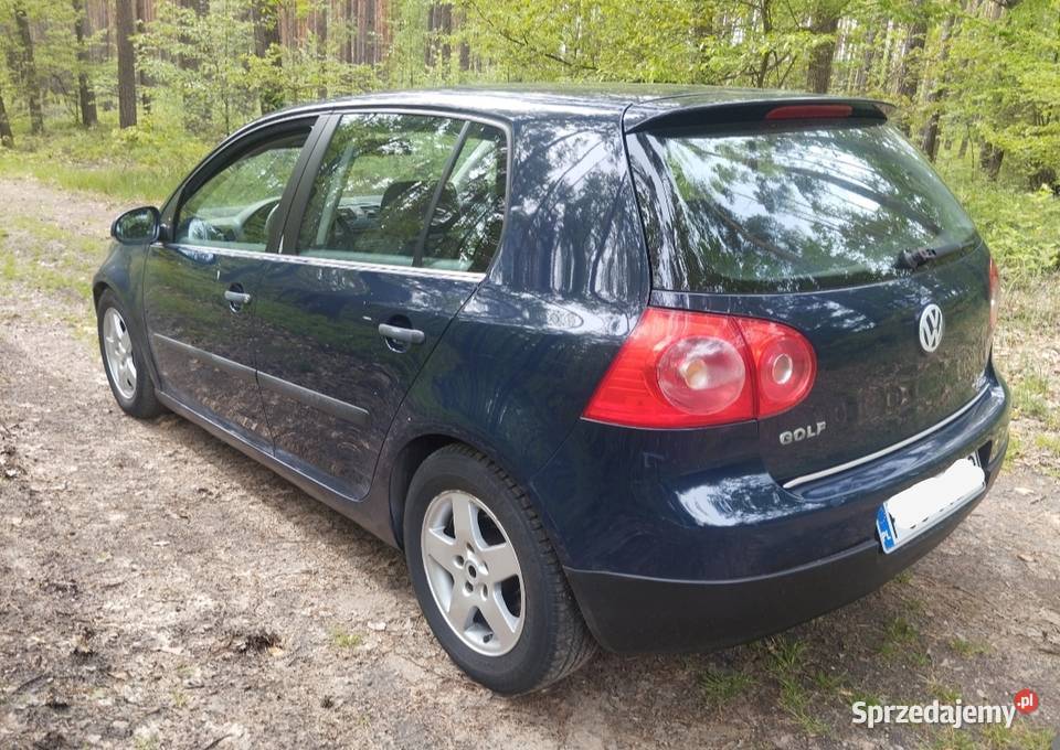 Volkswagen Golf V 14 mpi Golf dolnośląskie Oleśnica