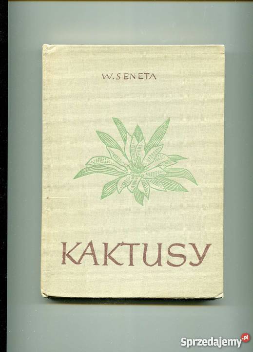 Kaktusy