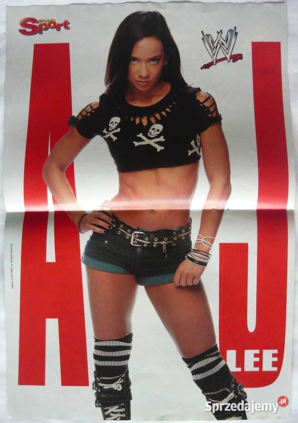 PLAKATY LEE AJ WRESTLING WYPRZEDAŻ ŚWIAT Bydgoszcz sprzedam
