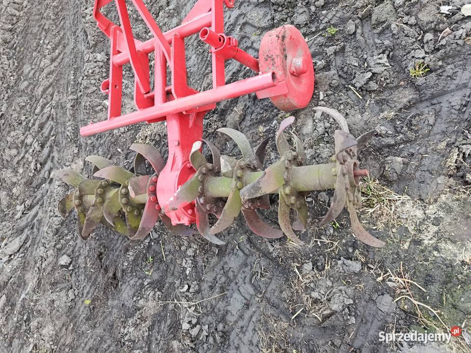 Glebogryzarka wielkopolskie