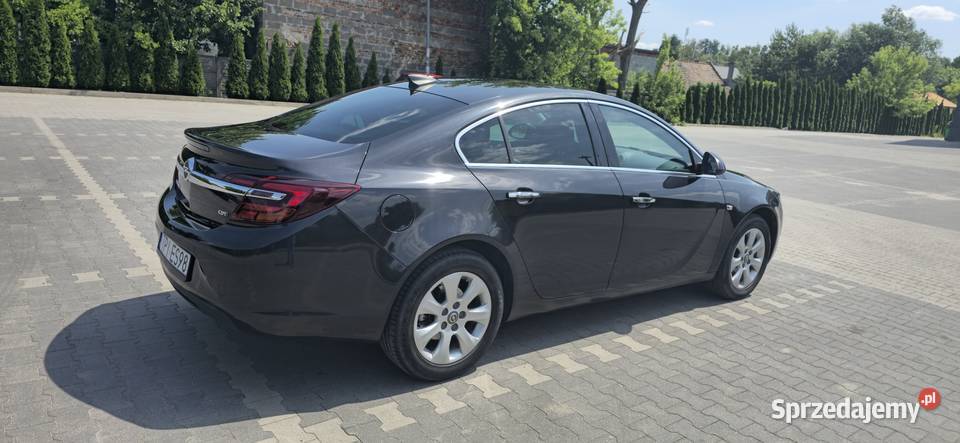 Opel Insignia 2015 Dzierążnia