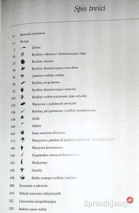 Rośliny jadalne John Vaughan Chełm
