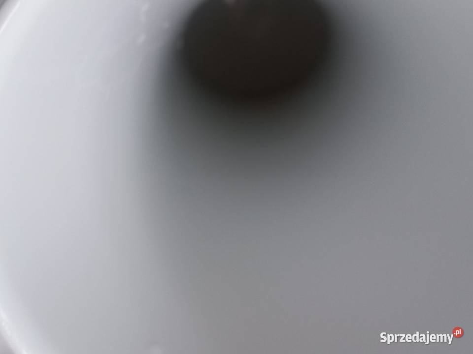 Wazon porcelanowy Thomas Rosenthal Toruń