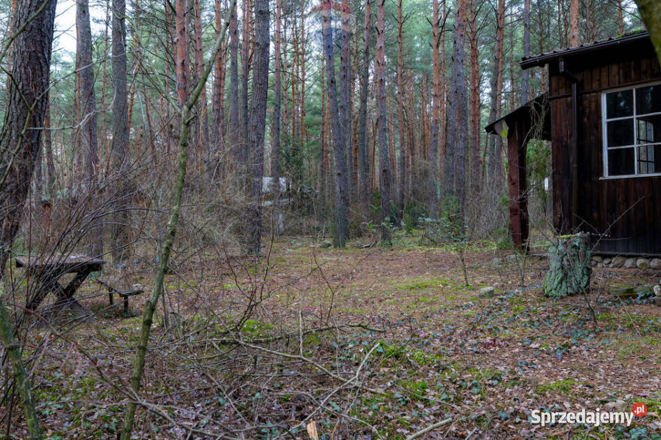 Sprzedażdziałka z MPZP1900 m2Łosie Radzymin 35.5m mazowieckie