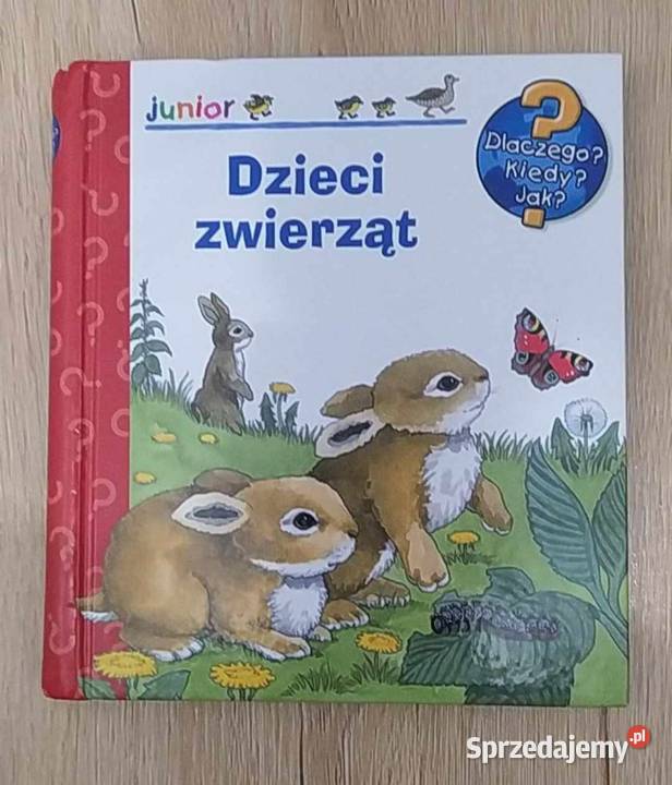 Dzieci zwierząt. Dlaczego? Kiedy? Jak? Junior