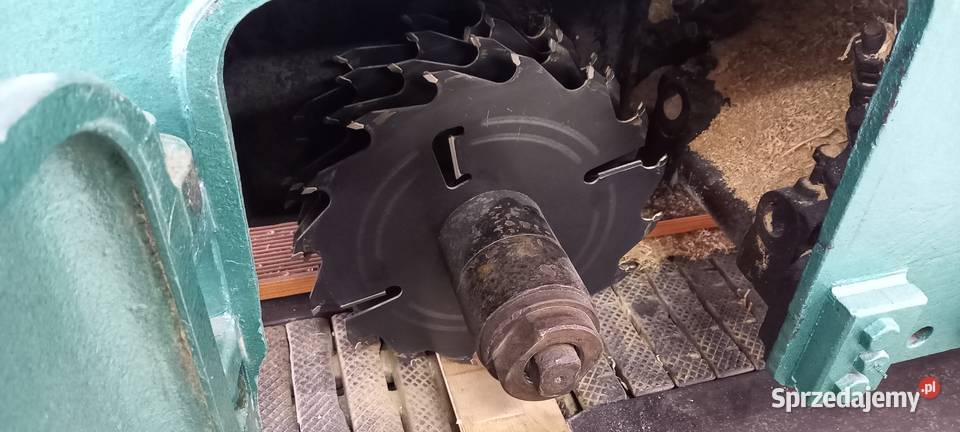 wielopiła Torwegge gąsienicowa Błotnica Strzelecka