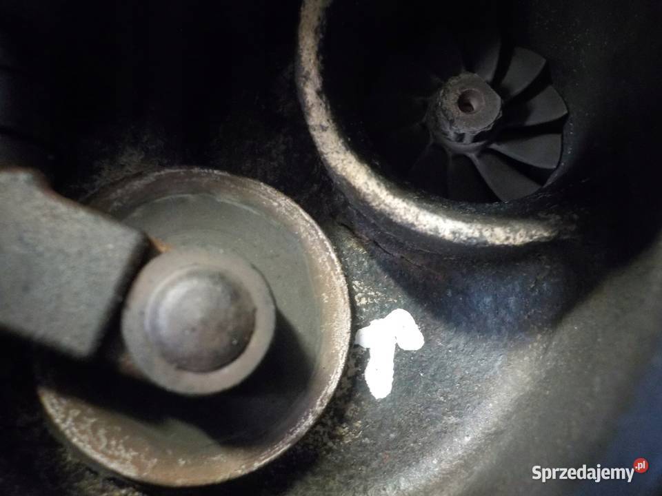 GOLF VI A1 OCTAVIA EOS 14 TSI 12r 102 CAXA Suków