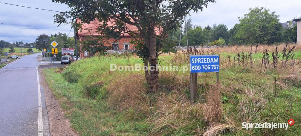 Działka 1186 metrów Borek Sprzedaż