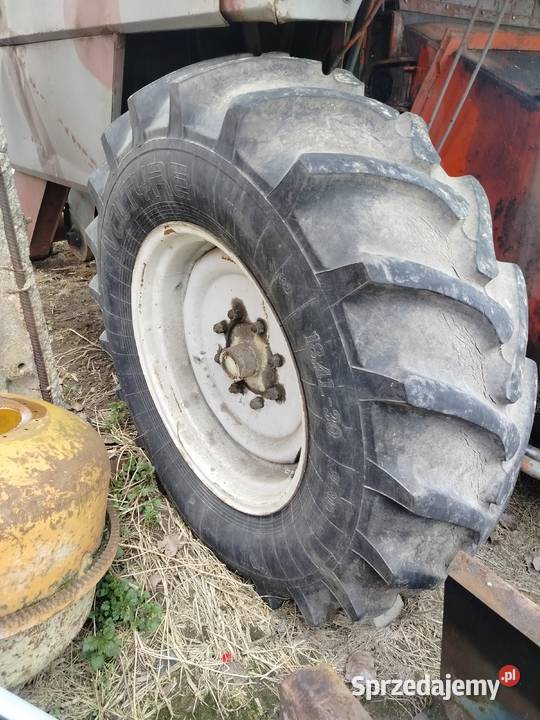 Sprzedam kombajn bizon zo 5056 na części Mogilno
