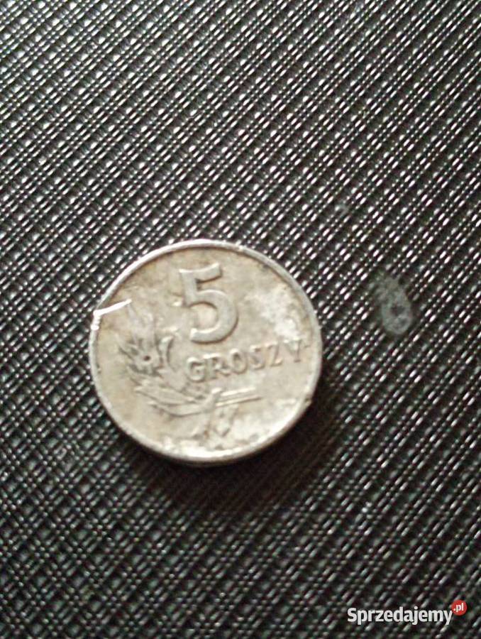 Sprzedam drugie 5 gr 1958 r bzm Chełm