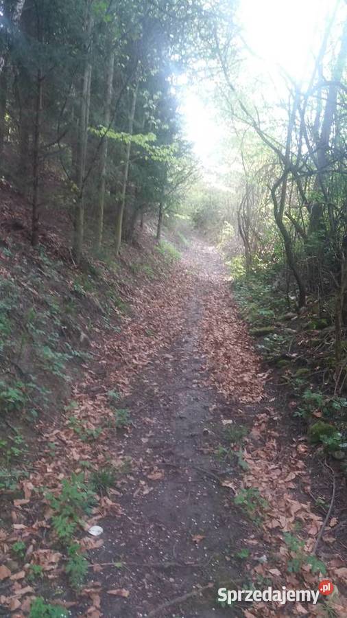 Działka rolna rekreacyjna Krościenko Dunajcem Krościenko nad Dunajcem sprzedam