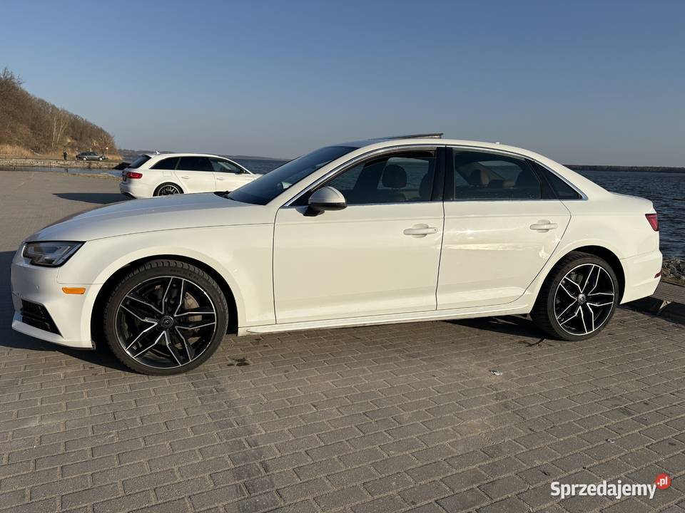 Audi A4 B9 2017 20 TFSI nieuszkodzony Elbląg