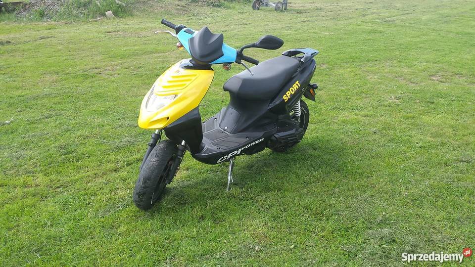 Cpi Oliver sport Krowica Lasowa