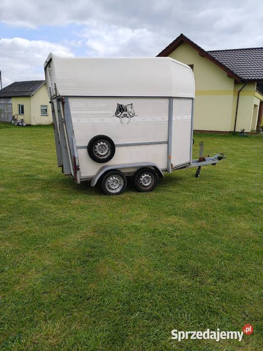 przyczepka do przewozu koni DMC 1600 Żmigród