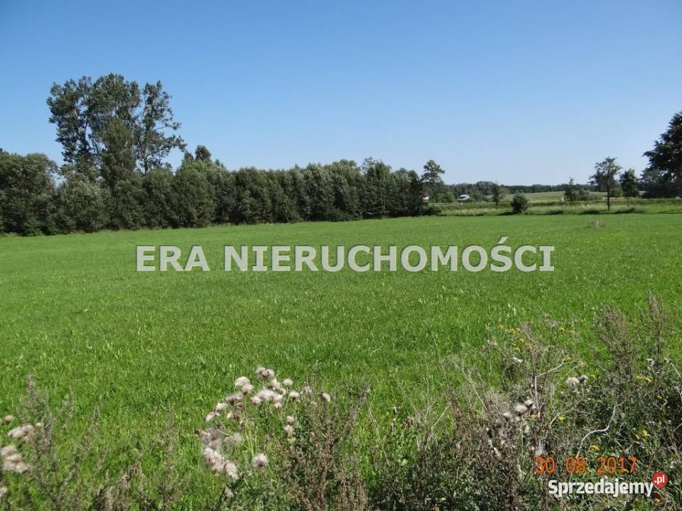 ogłoszenie działka inwestycyjna Popiołówka 10885m2