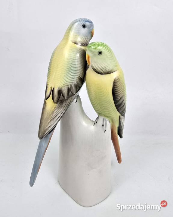 Papużki faliste zielone Hollohaza papugi Węgry Bronisze