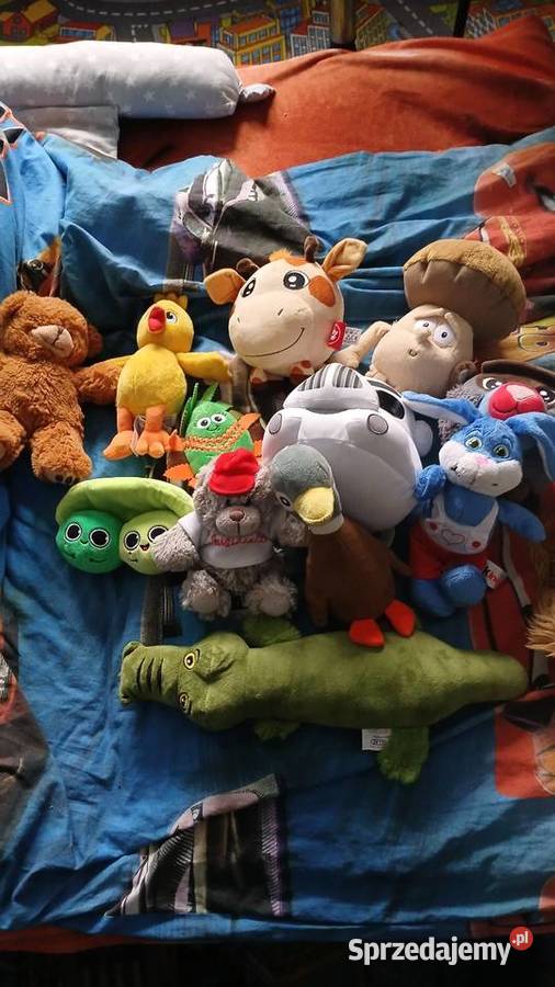 Pluszaki nowe śląskie Racibórz