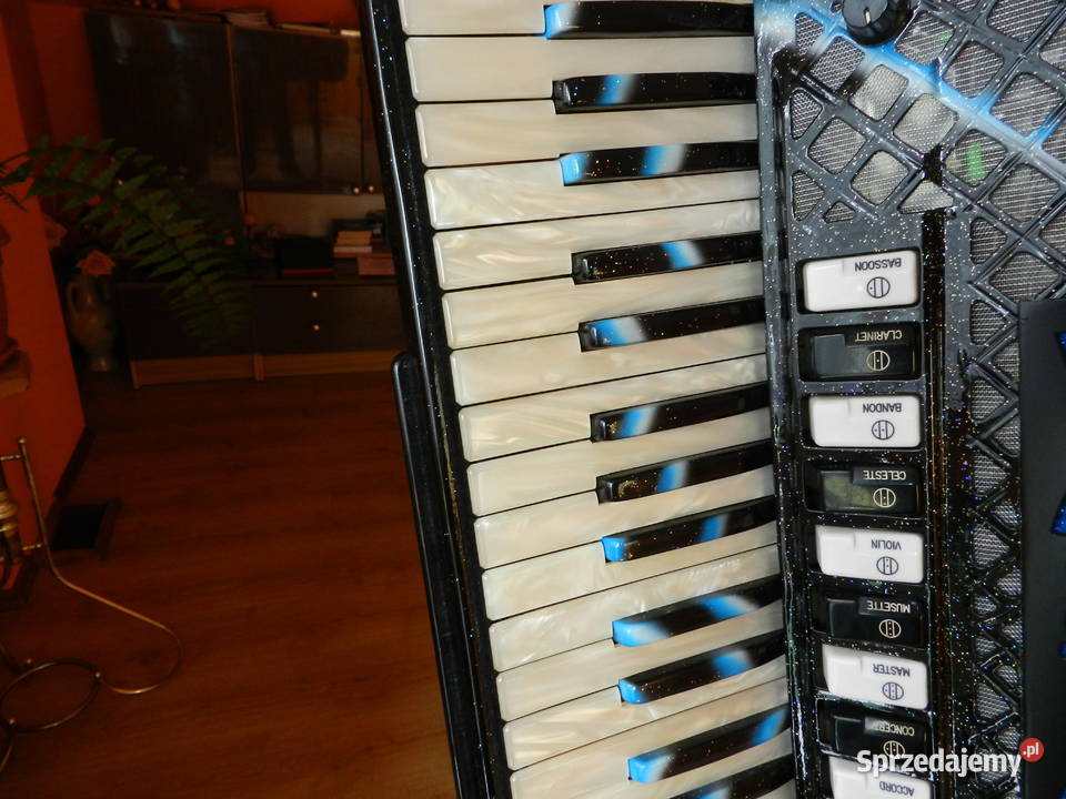 Akordeon włoski Cooperfisa 4 chóry 120 basów małopolskie Chełmek