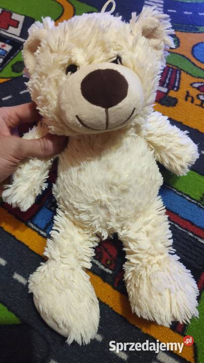 Kudłaty mis Książ Wielkopolski