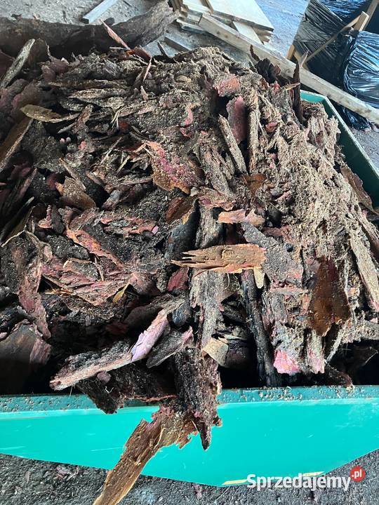 KORA IGLASTA modrzewiowa 70m3 TANIO