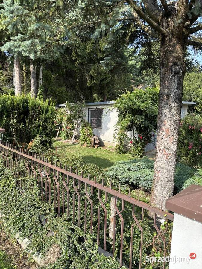 Dom z dużą działką 5327a centrum wsi Potakówka Domy podkarpackie