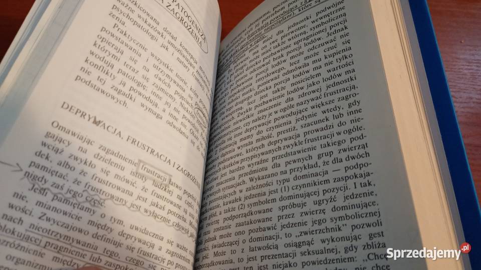 Motywacja i osobowość Abraham H Maslow przeł Gdańsk