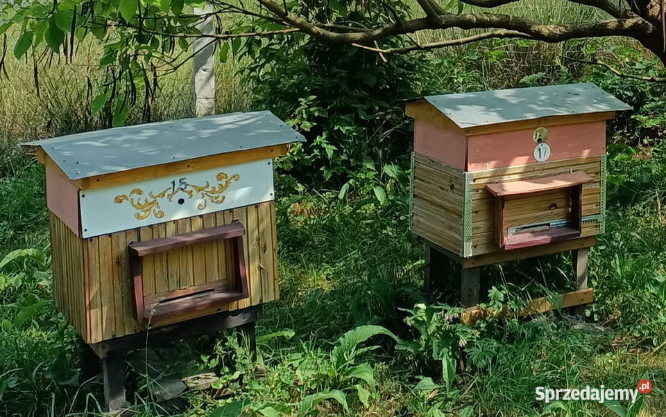 PSZCZELI DREWNIANY 2 SZTUKI podkarpackie Rzeszów