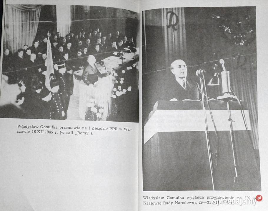 Polityczne dylematy Gomułki B Syzdek E Syzdek Chełm