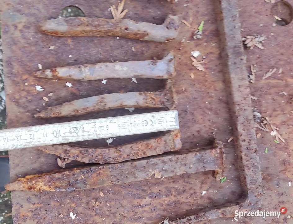 Zawiasy drzwi 100letnie Konin