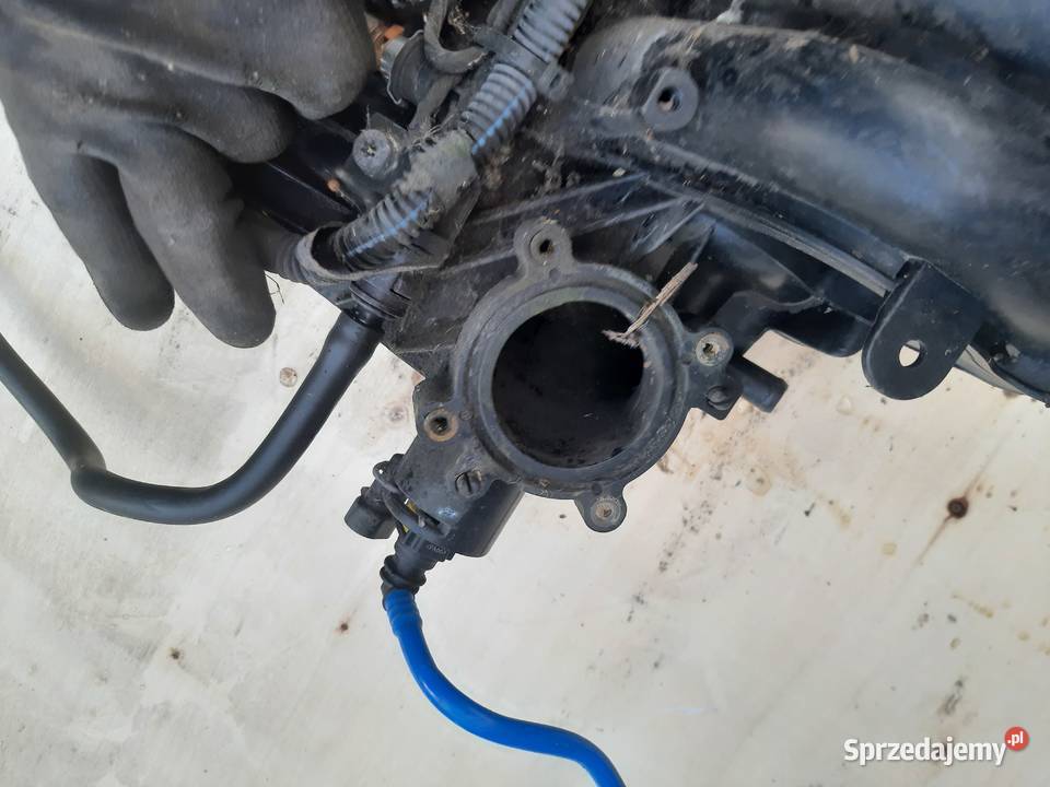 Fiat Linea Doblo Albea 14 8V Kolektor ssący Ksawerów sprzedam