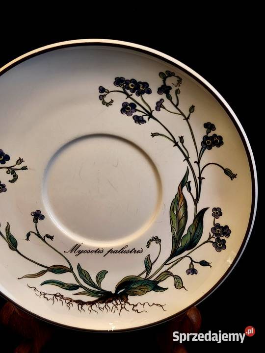 Talerz VilleroyBoch Botanica Porcelana i szkło Chełm